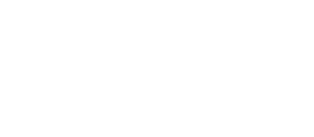 Bedrock Nexus Logo